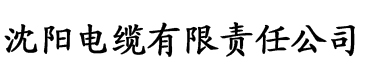 色婷婷欧美在线播放内射电缆厂logo